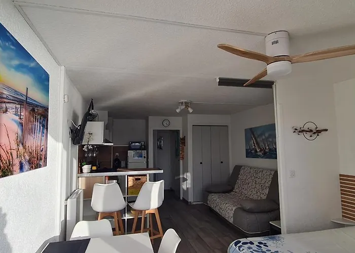 Apartamento Vue Exceptionnelle Sur La Mer, Piscine, Parking Privé - Sur L'île Des Pêcheurs Agde